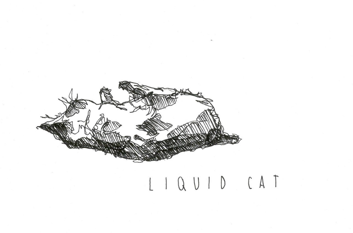 Artwork by Lucilla Patrizi