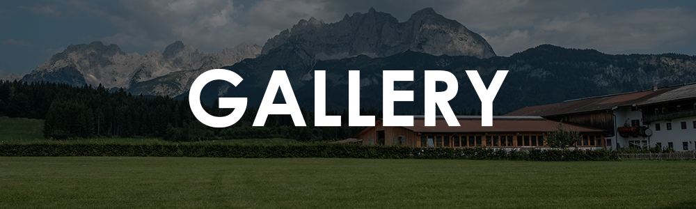 Open Festival Gallery
