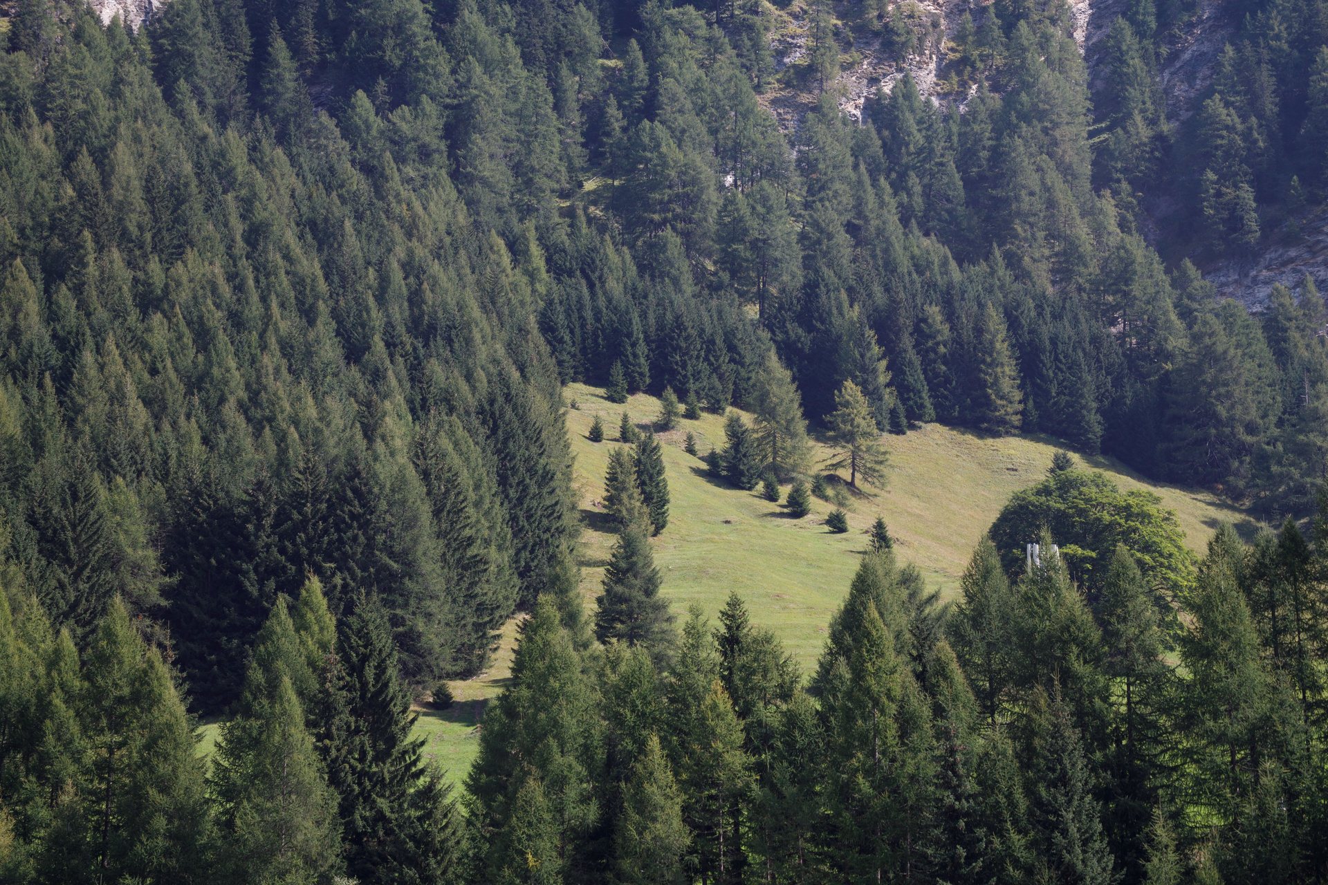 SOLO & CI TYROL FESTIVAL 2024