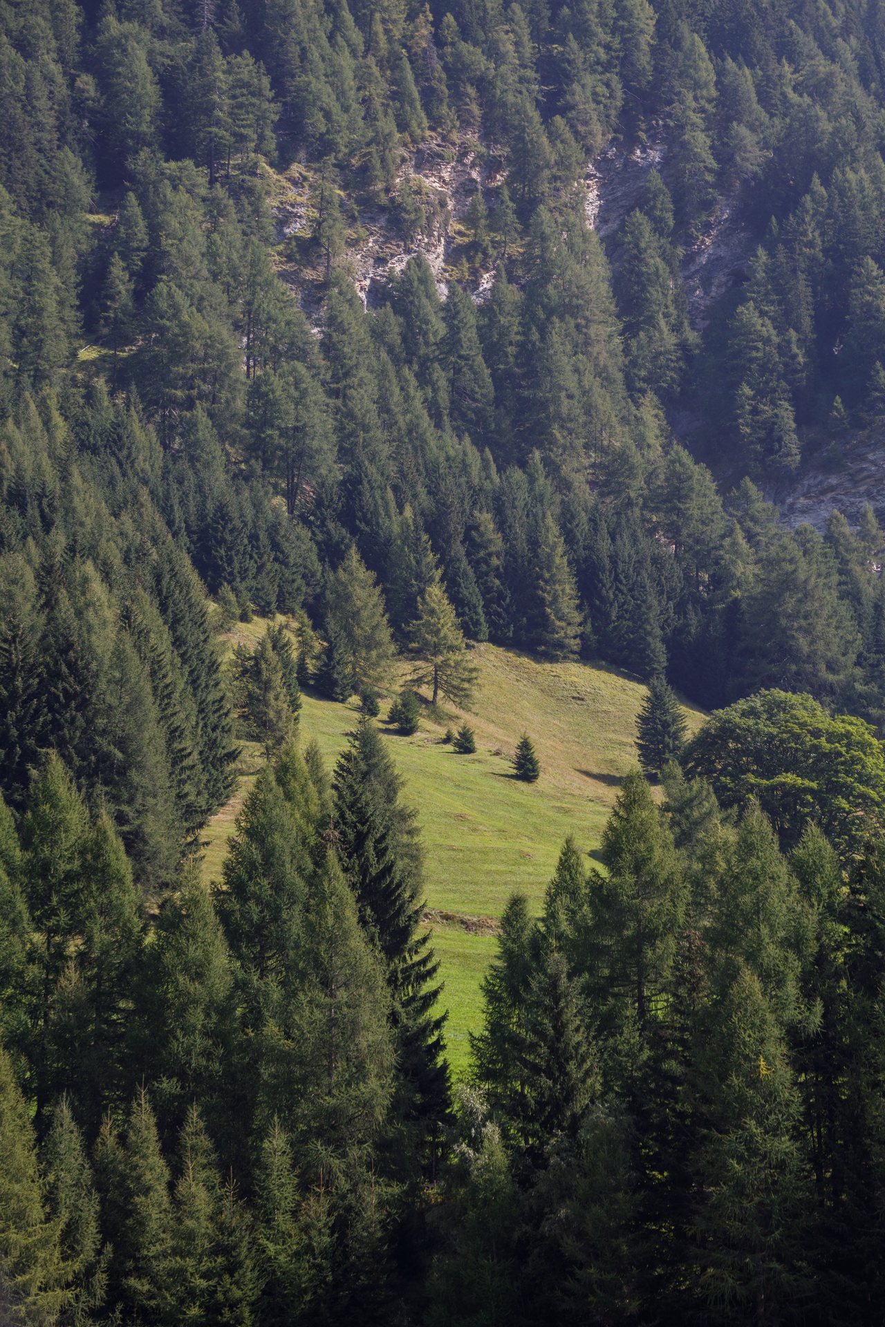 SOLO & CI TYROL FESTIVAL 2024