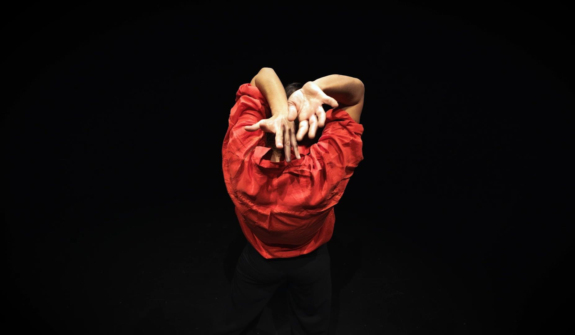 Maitane Sarralde Vertical Dance